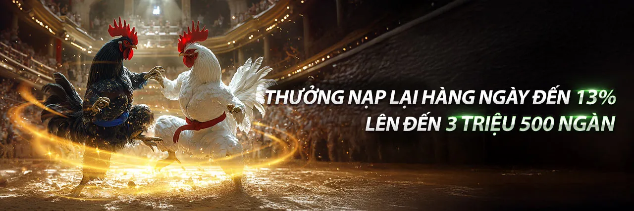 Giao diện ứng dụng SumVipClub trên điện thoại di động