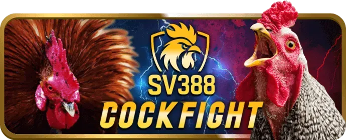 Ưu đãi VIP SumVipClub